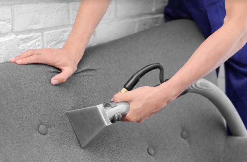  The Best Technique to Take Care of Your New Upholstery