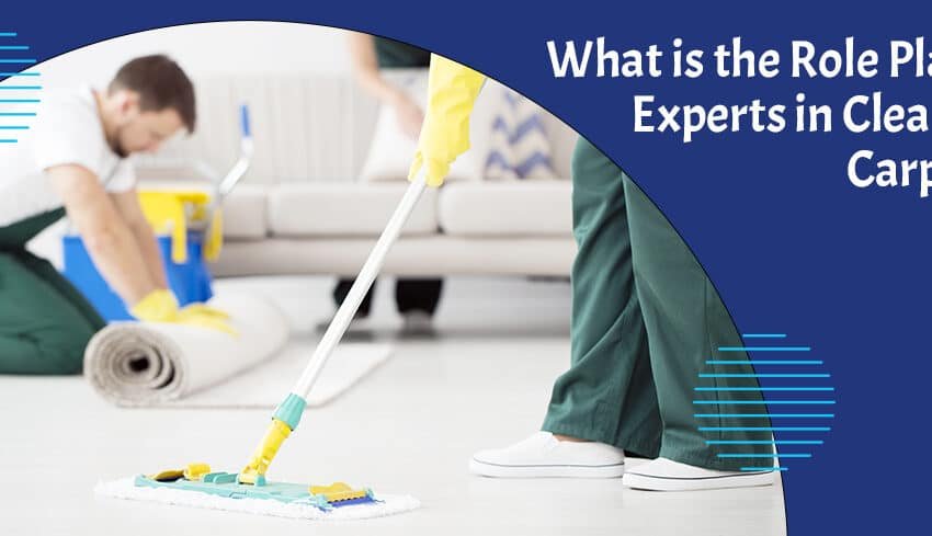  What is the Role Play of Experts in Cleaning Carpets?