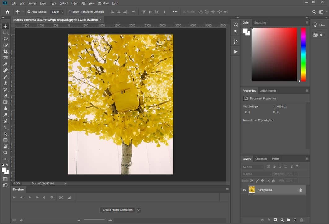 how to make a picture bigger in photoshop