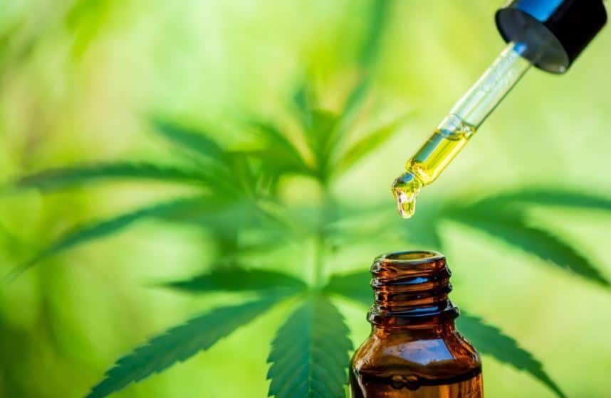 Enhance Wellness Routine Using CBD