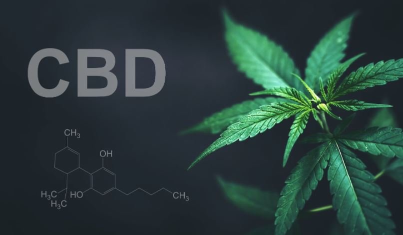 CBD Products