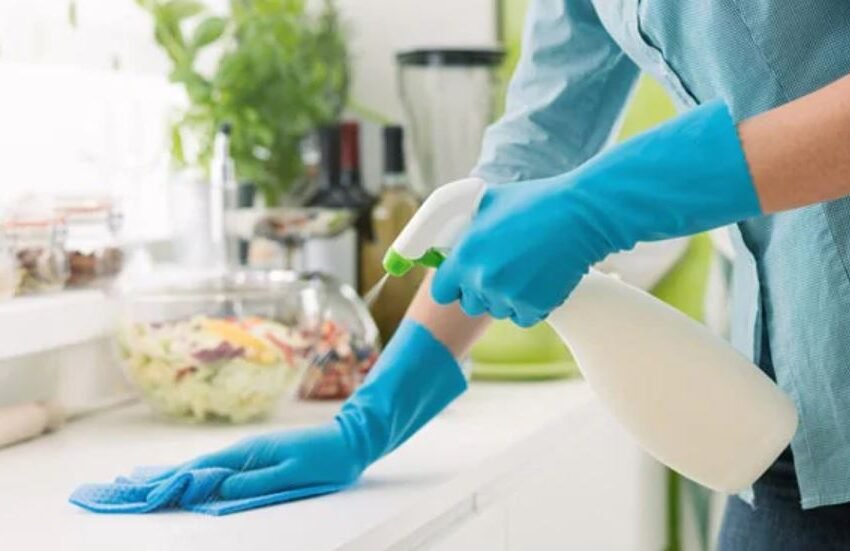  Spick, Span, Sanitized: 8 Tips for Achieving a Germ-Free Kitchen