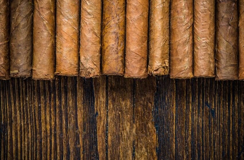 Choosing the Best Cigars