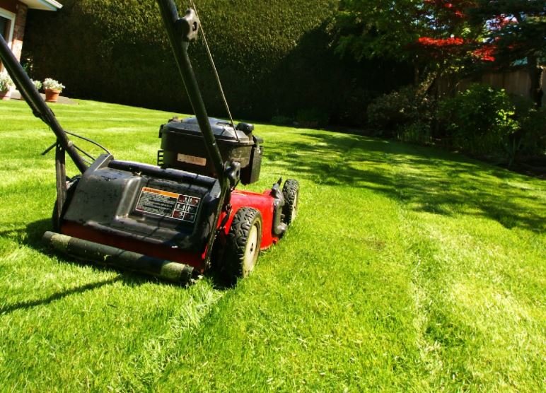 Lawn Care And Maintenance