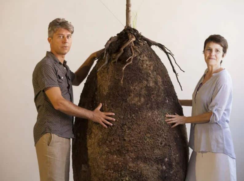 Tree Pod Burial