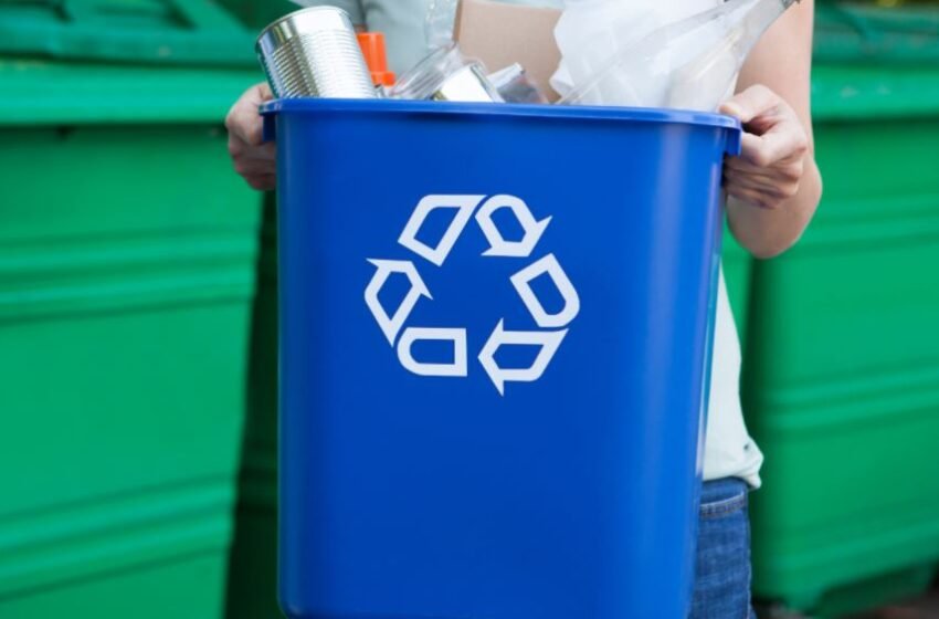  How to Recycle Waste in a Large Company