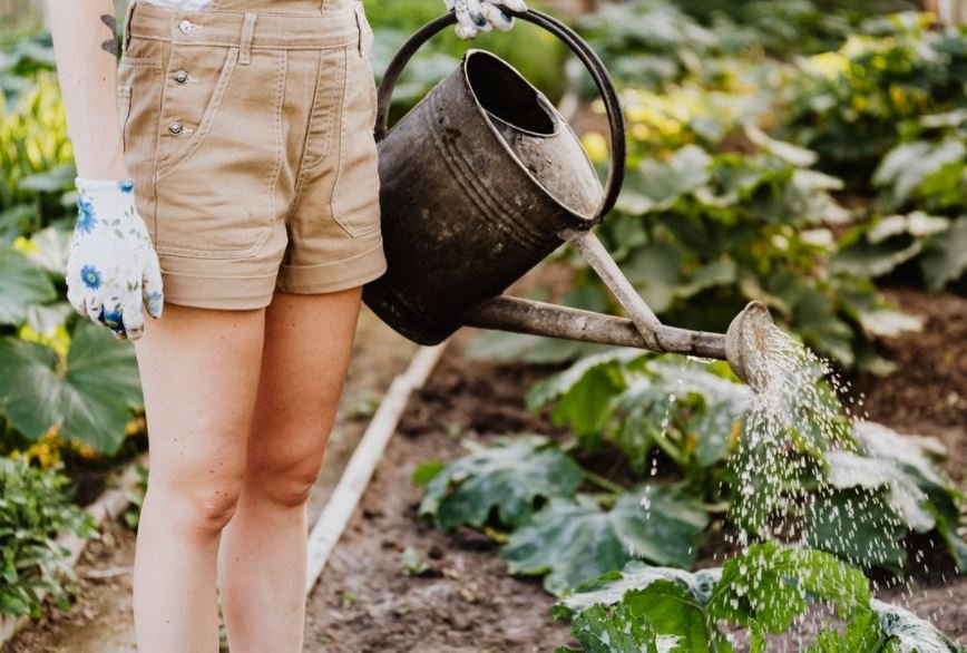 Gardening for Beginners