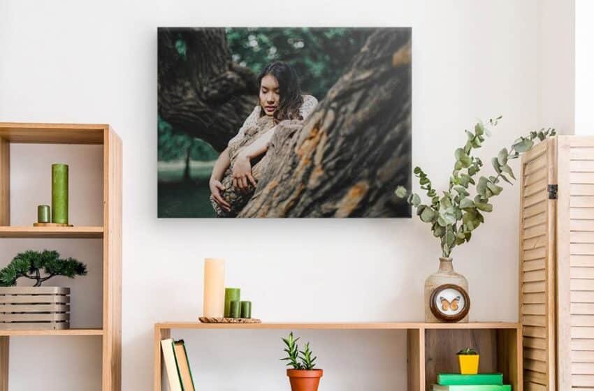  Canvas Prints for Your Home: 5 Wall Art Tips
