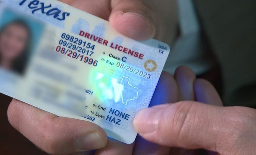 Fake Texas Identification Card