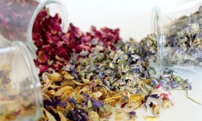 Decorating Your Home with Dried Flowers