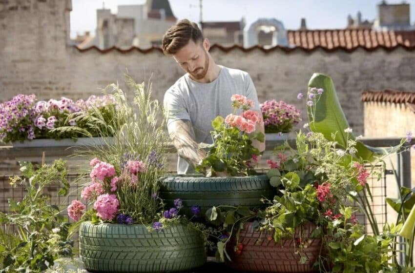 Gardening can Improve your Mental Health