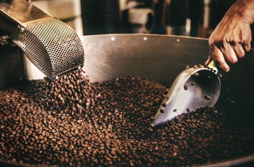  5 Tips To Help You Choose The Best Coffee Beans