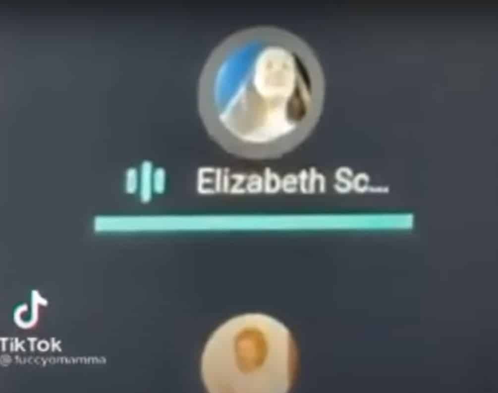 Elizabeth Zoom Class TikTok