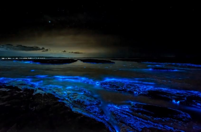 Jervis Bay