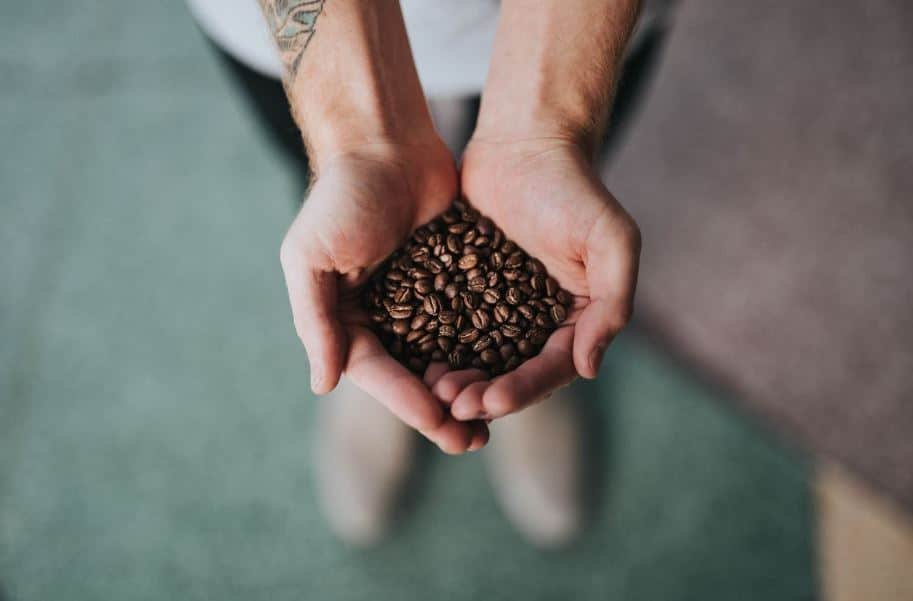Research Your Coffee Beans