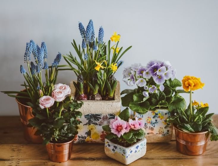 Fresh-cut Flowers and Potted Plants