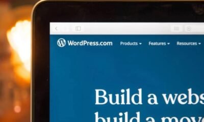 Best Practices for WordPress Development