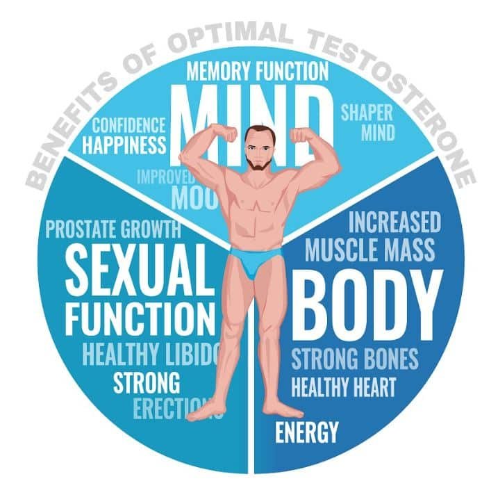 Role of Testosterone In Males