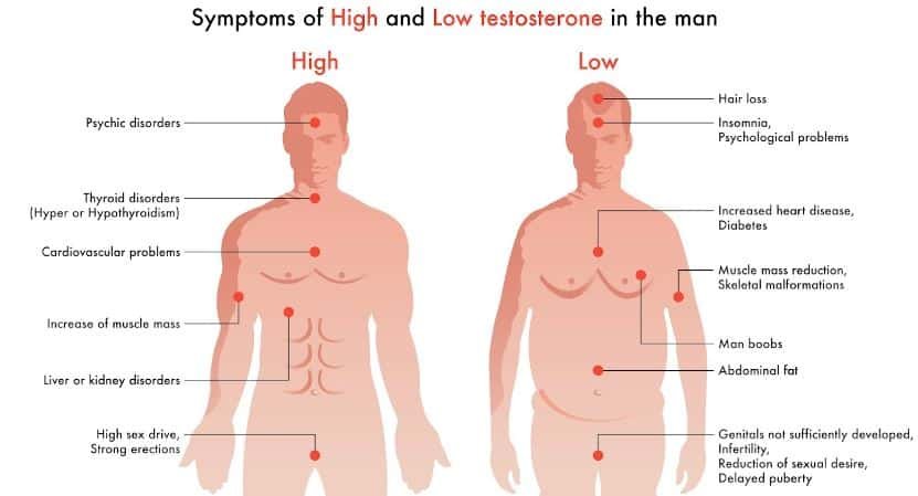 Testosterone Levels