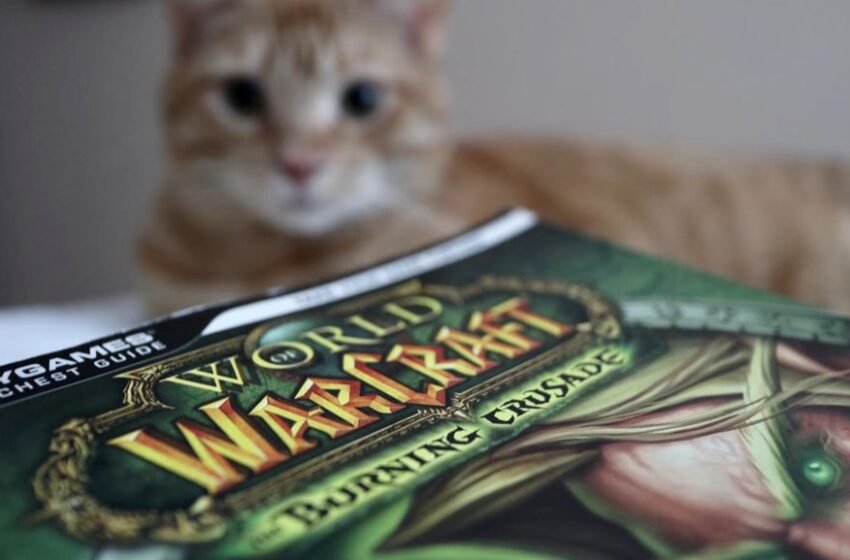 World of Warcraft