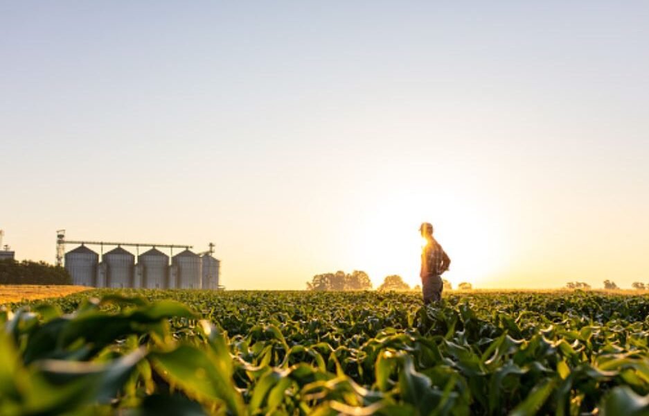 Agricultural Industry