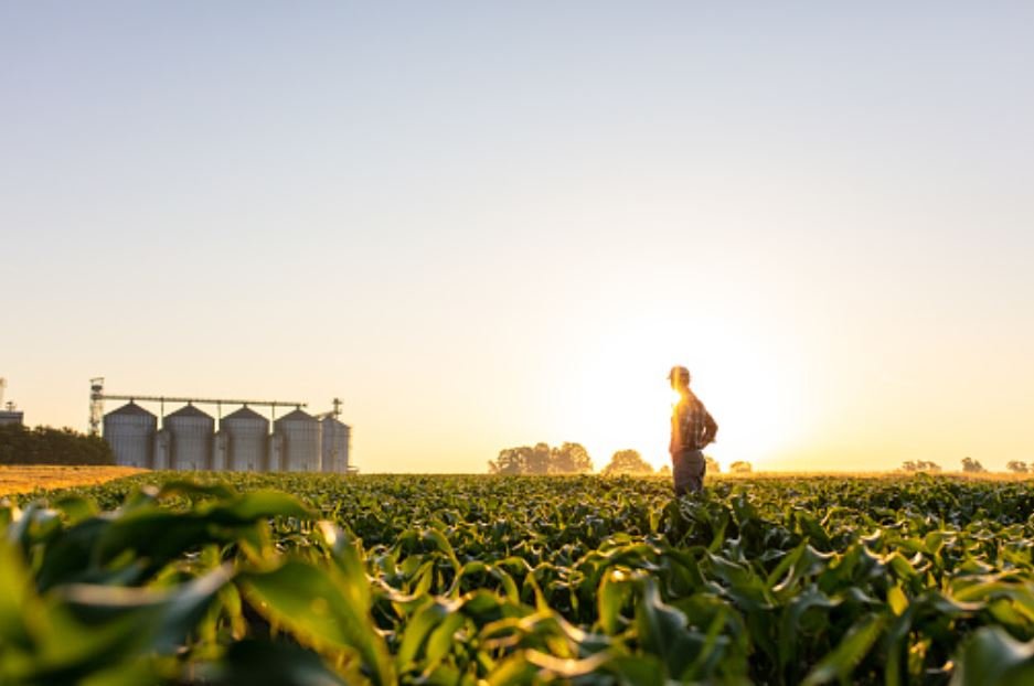 Agricultural Industry