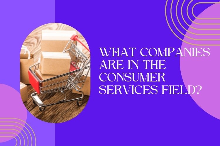 What Companies are in the Consumer Services Field?