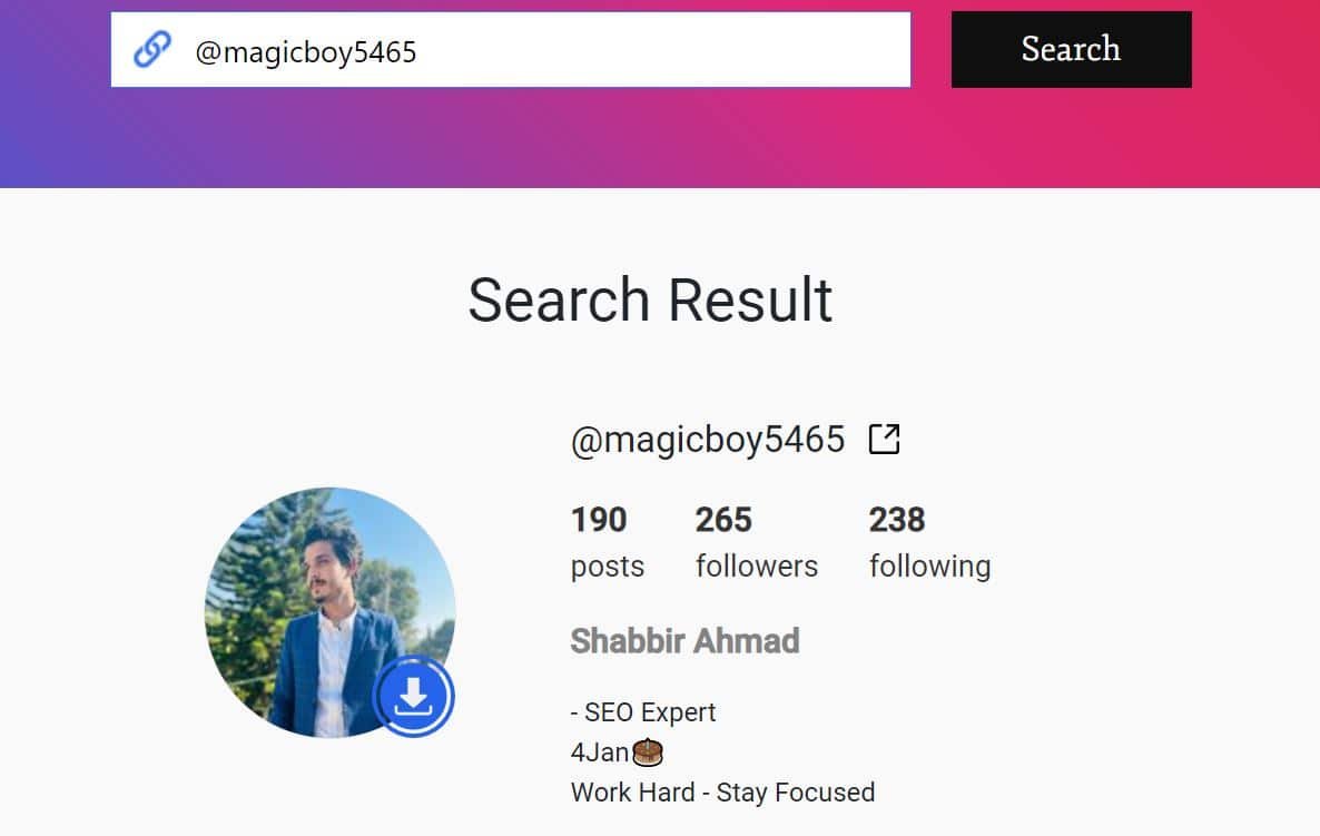 Instagram Profile Viewer