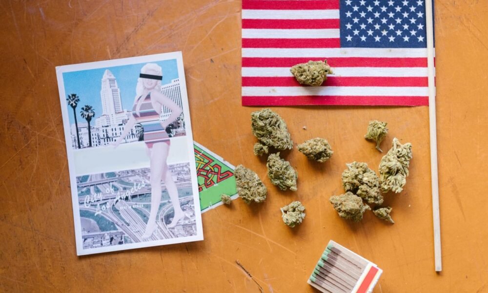 Travel Destinations for Weed Enthusiasts