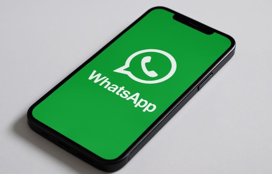LogicalShout WhatsApp Updates