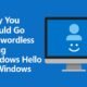 Go Passwordless Using Windows Hello on Windows