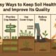 Easy Ways to Keep Soil Healthy