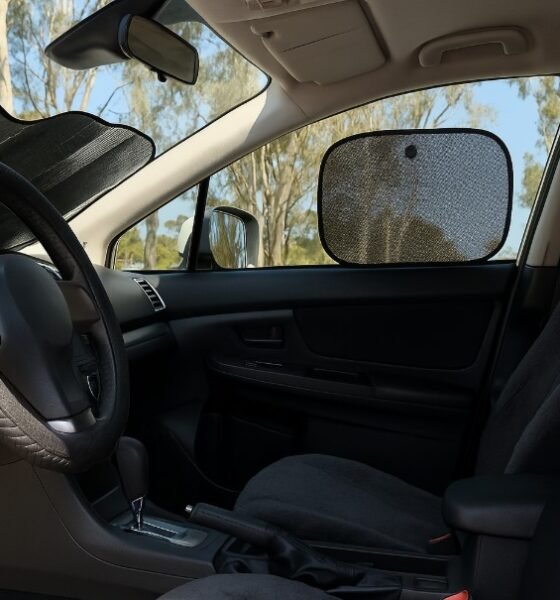 Protect Your Car Interior