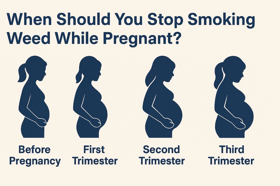 breakdown of why timing is so important in Pregnancy