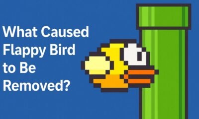 why did flappy bird get banned