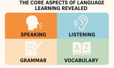 Aspects of Language Learning