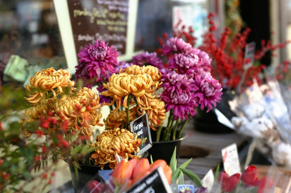 Flower Store