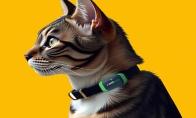GPS Trackers for pets