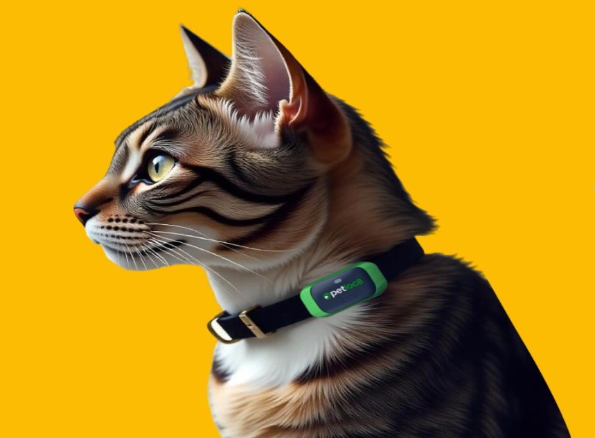 GPS Trackers for pets