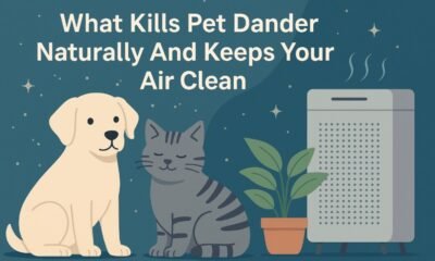 Kill Pet Dander Naturally