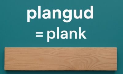 Plangud