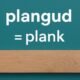 Plangud