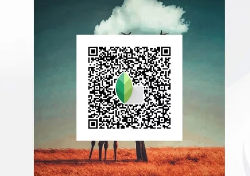 Snapseed QR codes
