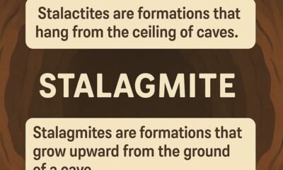 Stalagmite vs Stalactite