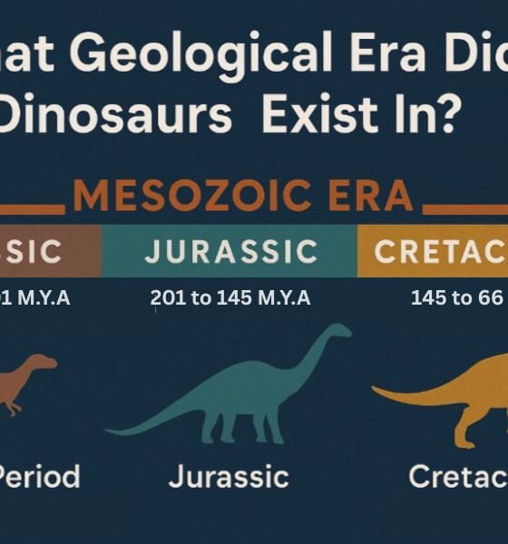 What Geological Era Did Dinosaurs Exist In