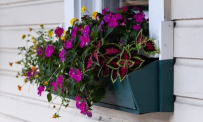 Window Box Liners