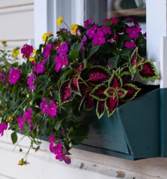Window Box Liners