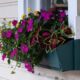 Window Box Liners