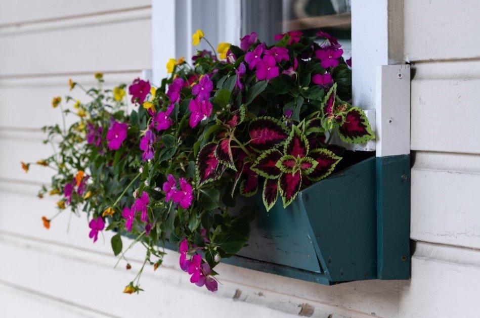 Window Box Liners
