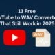 YouTube to WAV Converters